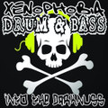 INTO THE DARKNUSS DRUM & BASS 1995 - 2021