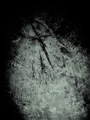 Split w/ Poenders