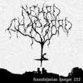 transtejanian hunger 222