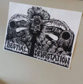Ammunition
