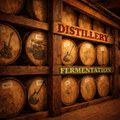 Fermentation