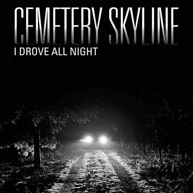 I Drove All Night