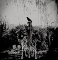 DEMO 1