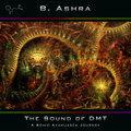The Sound Of DMT (only extern link)