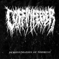 DEMONSTRATION OF TORMENT