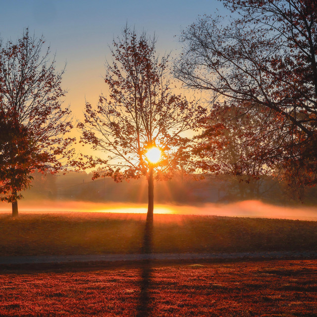 Evening Light (Remix)