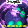 The Albumen Album